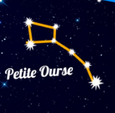 petite ours.png